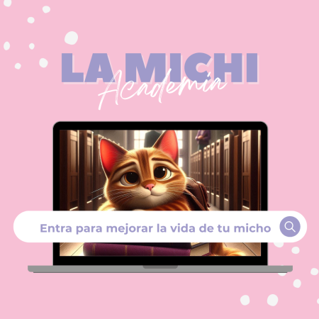 Blue & Pink Minimalist Coaching Workshop Photo Instagram Post