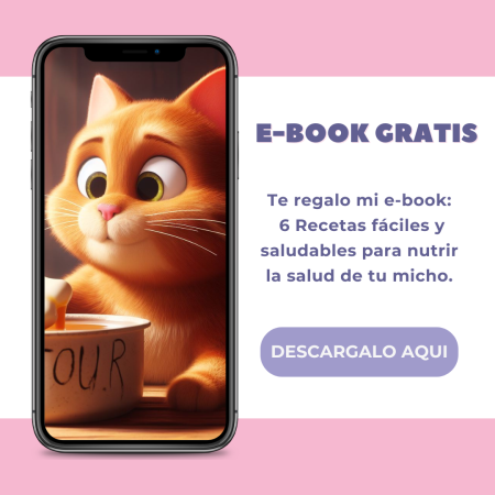 Recetas para gatos