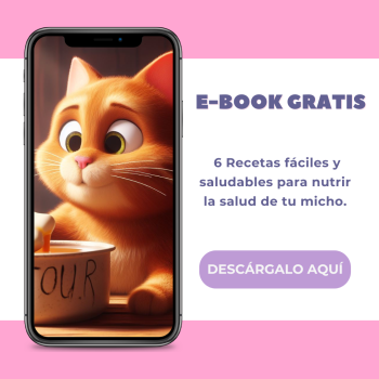 ebook-recetas-saludables-gatos
