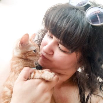 nutricionista de gatos