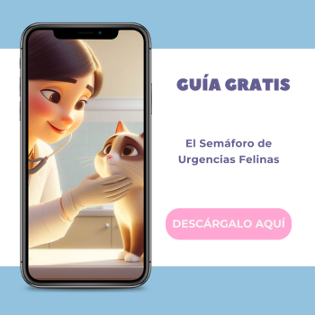 semaforo-urgencias-felinas